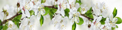 Фартук для кухни «Цветущий сад» 610*2440*3 